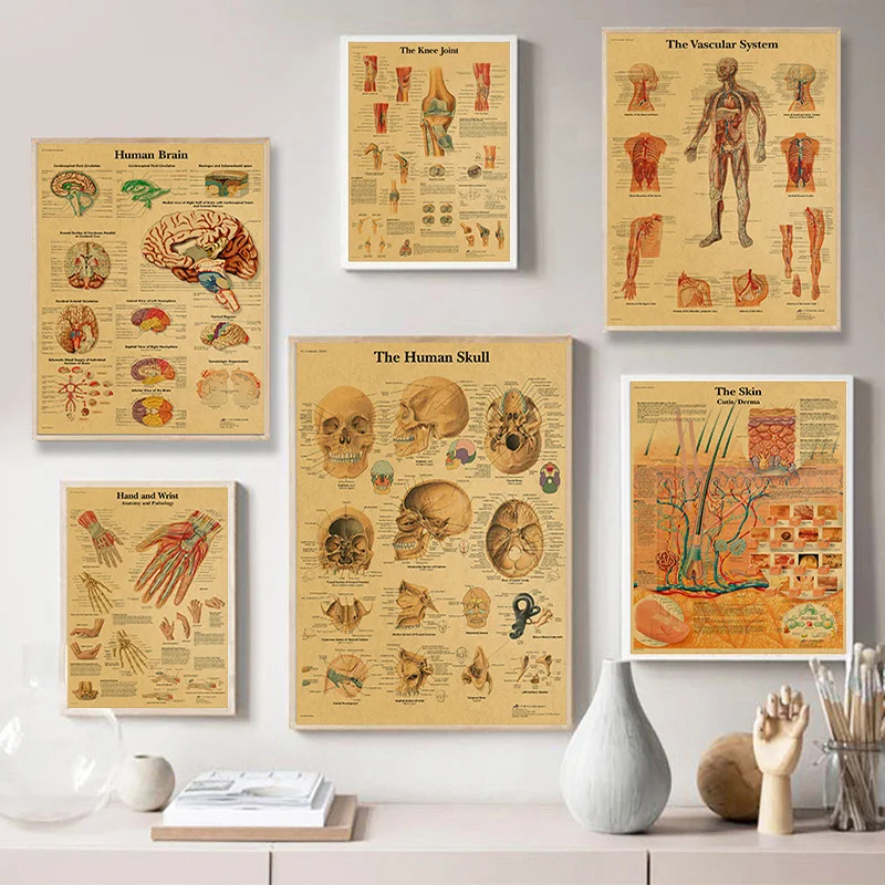 Mugurkaula Diagrammas Skelets Plakāti Cilvēka Anatomija Ceļgala Locītavas Kāju Kanvas Glezna Medicīnas Sienu Mākslas Izdrukas Telpā, Mājas Dekoru